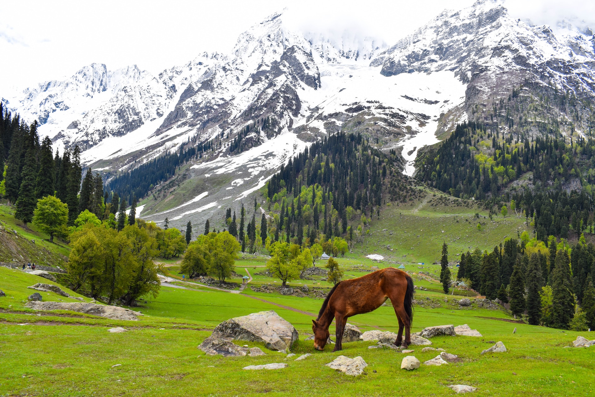 Gulmarg Sonmarg Pahalgam Tour Package